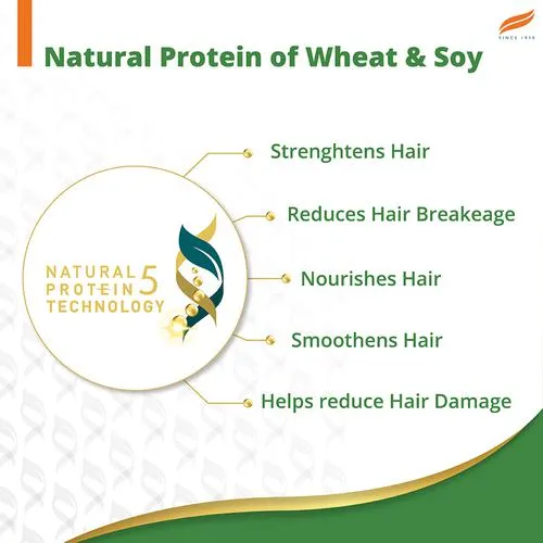 Himalaya Gentle Daily Care Natural Protein Shampoo protects from daily wear and tear Gently cleanses & strengthens With Chickpea Licorice & Amla For Women & Men 180 ml - Image 5