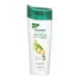 Himalaya Gentle Daily Care Natural Protein Shampoo protects from daily wear and tear Gently cleanses & strengthens With Chickpea Licorice & Amla For Women & Men 180 ml