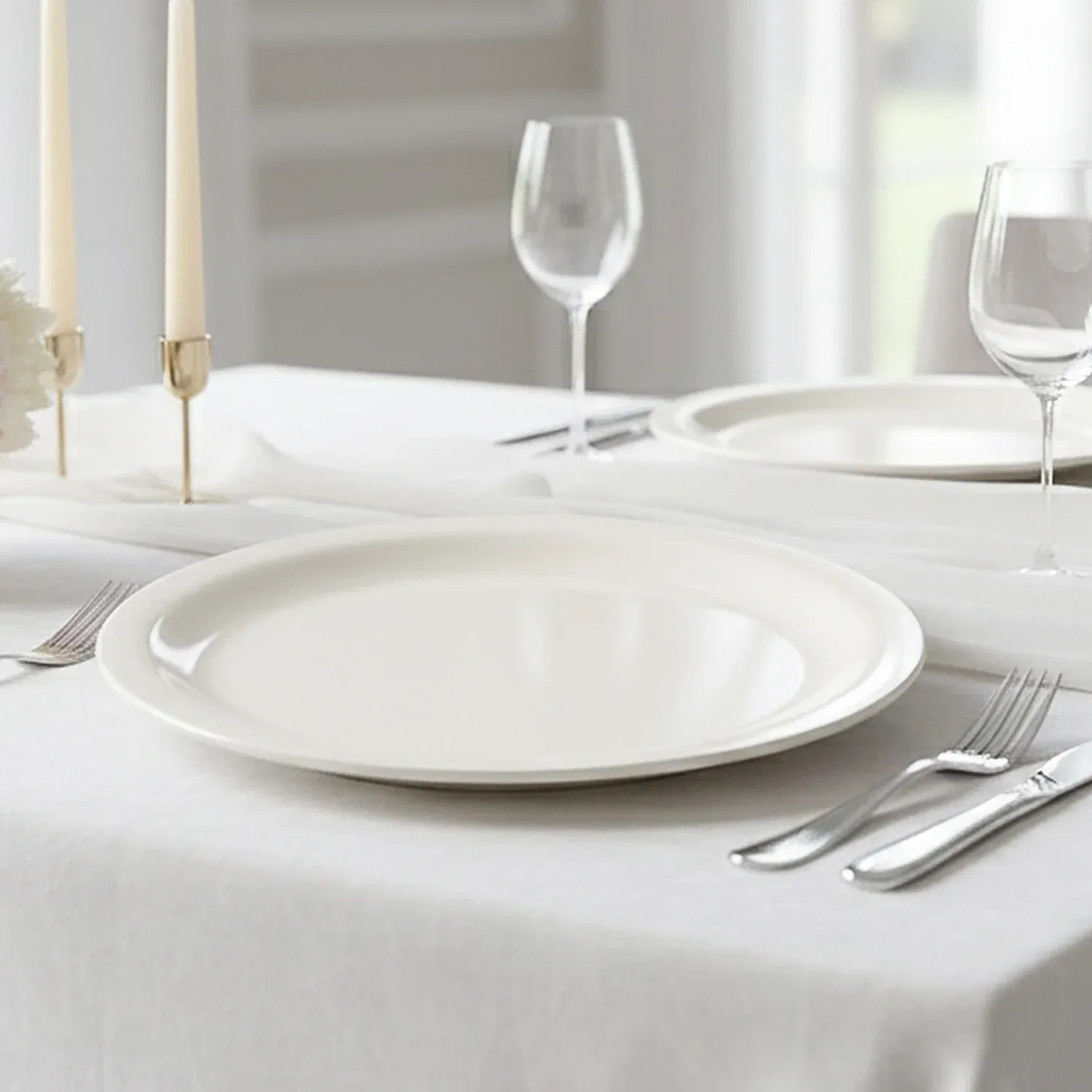 Premium Round Dinner Plate (28cm / 1 Pc) - Detailed Feature View 6