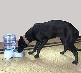 Automatic Pet Water Dispenser, Food Storage Bottle
