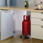 Premium Stainless Steel Gas Cylinder Trolley, Gas Trolley - Buy Online at Alikart