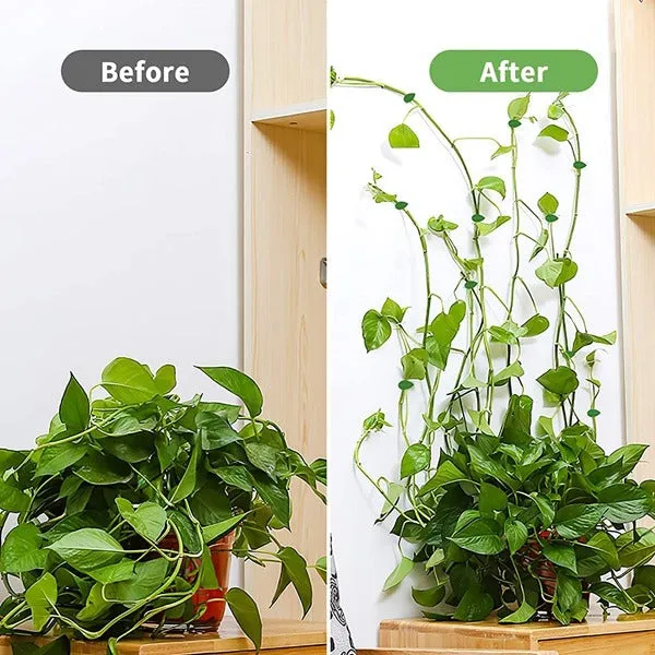 Leaf Shape Plant Climbing Wall Fixture Clips – Green Adhesive Vine Fixing Clips for Indoor & Outdoor Plants (Pack of 20) - Detailed Feature View 2