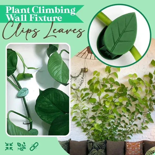 Premium Leaf Shape Plant Climbing Wall Fixture Clips – Green Adhesive Vine Fixing Clips for Indoor & Outdoor Plants (Pack of 20) - Buy Online at Alikart