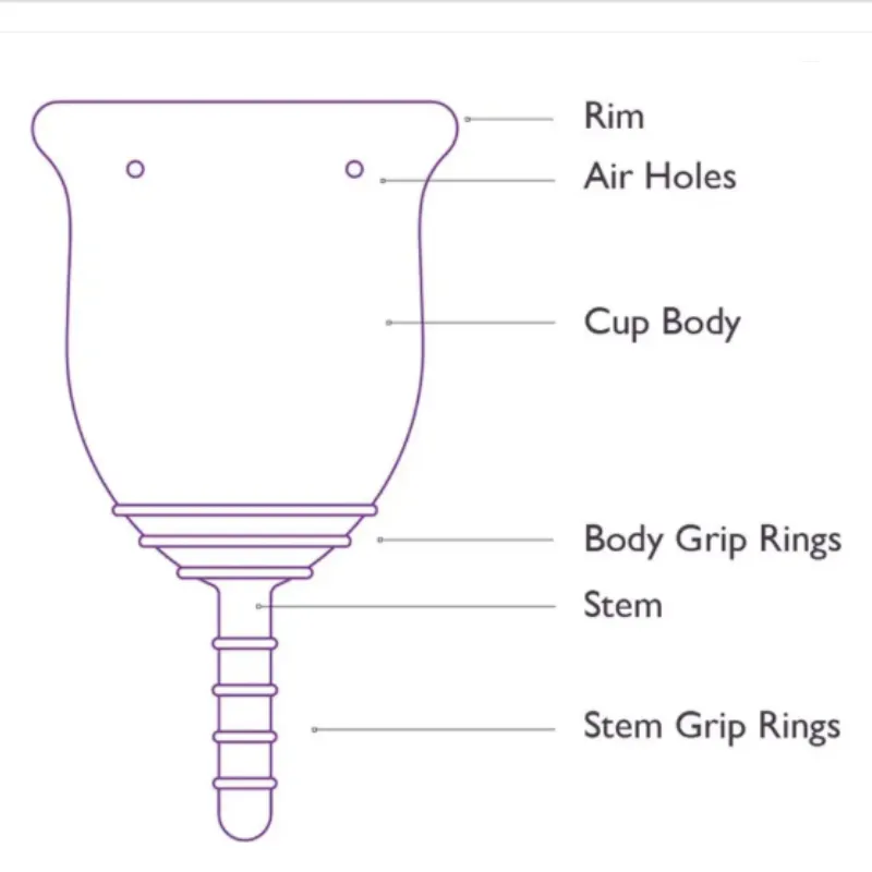Menstrual Cup – Reusable Soft Silicone Period Cup for Women, Eco-Friendly & Leakproof Feminine Hygiene Solution (Pack of 1) - Detailed Feature View 3
