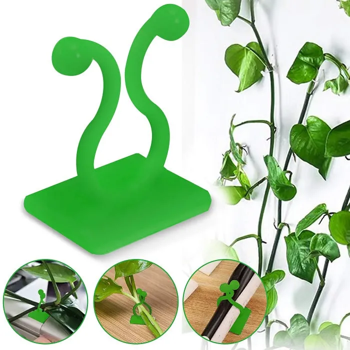 30 Pcs Vine Plant Climbing Clips – Large Invisible Wall Hooks for Plant Support & Binding - Detailed Feature View 2