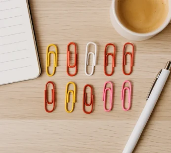 Vinyl-Coated Paper Clips Set of 10 – Colorful, Rust-Resistant