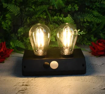 Solar Double LED Bulb Lamp YT-819- 2W (1 Pc)