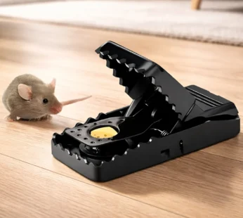 Plastic Heavy Duty Big Mouse Trap (1 Pc)