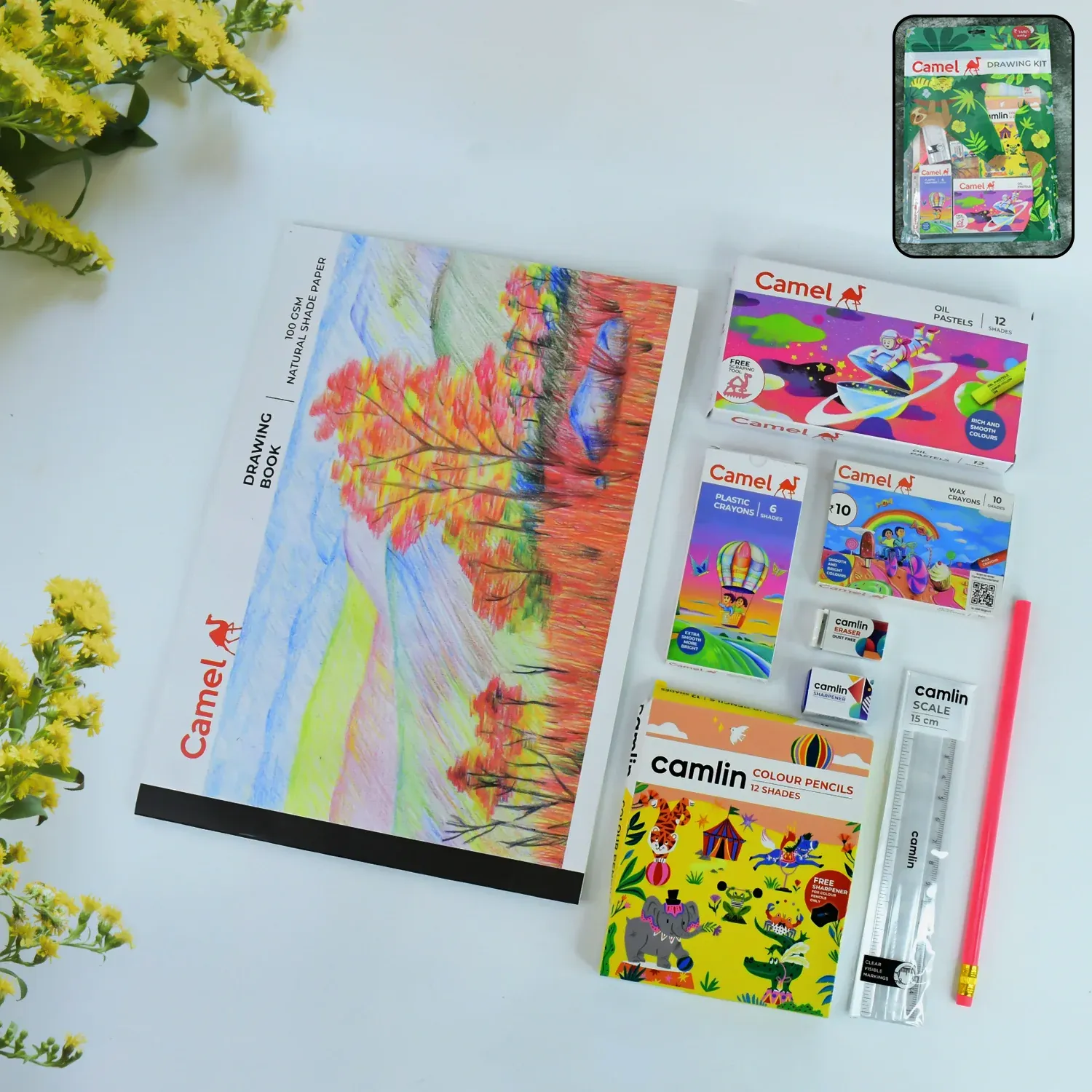 Premium Camel Drawing Kit – Complete Art Set for Kids' Creativity - Buy Online at Alikart