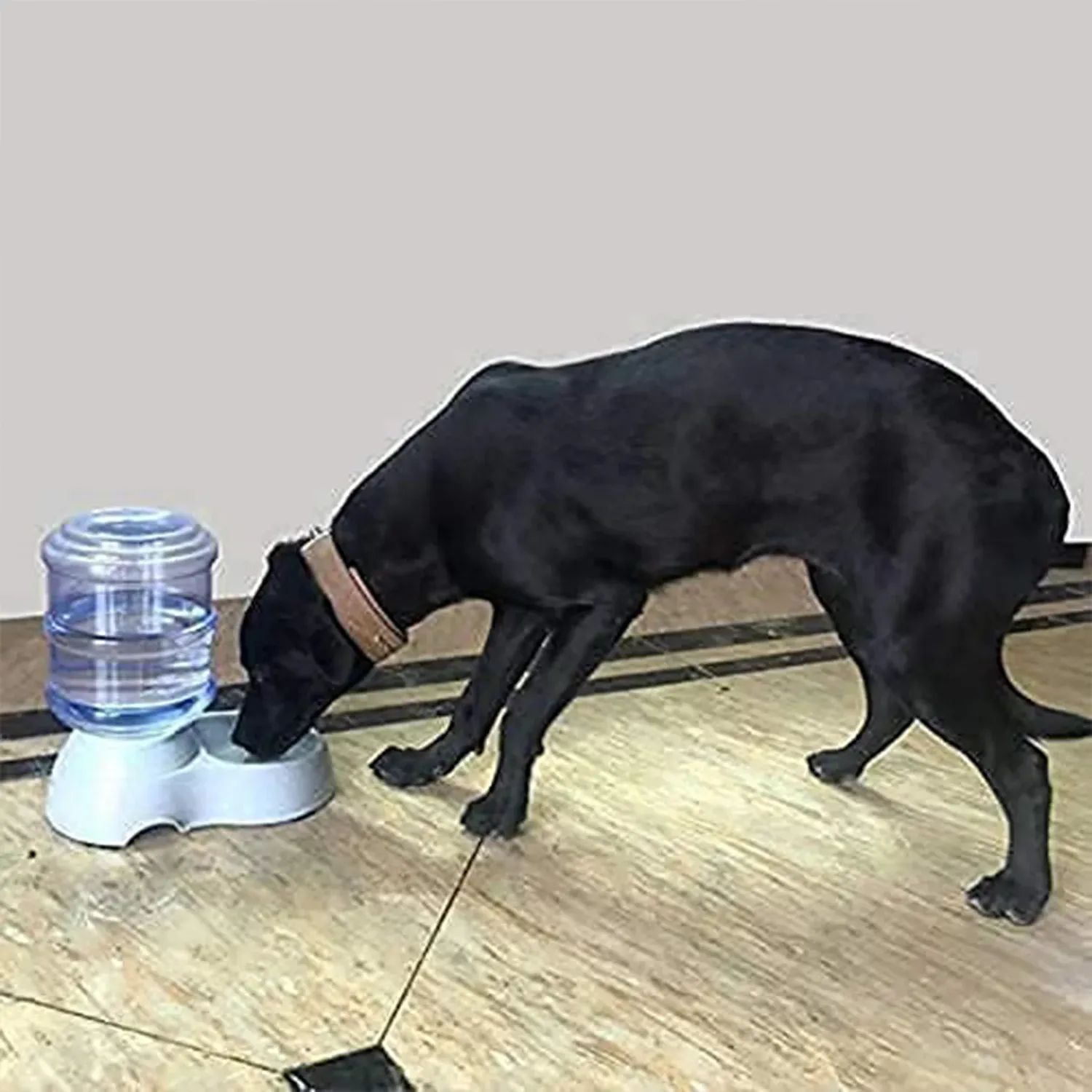 Premium Automatic Pet Water & Food Dispenser – Gravity Self-Feeder | Waggy Tales - Buy Online at Alikart