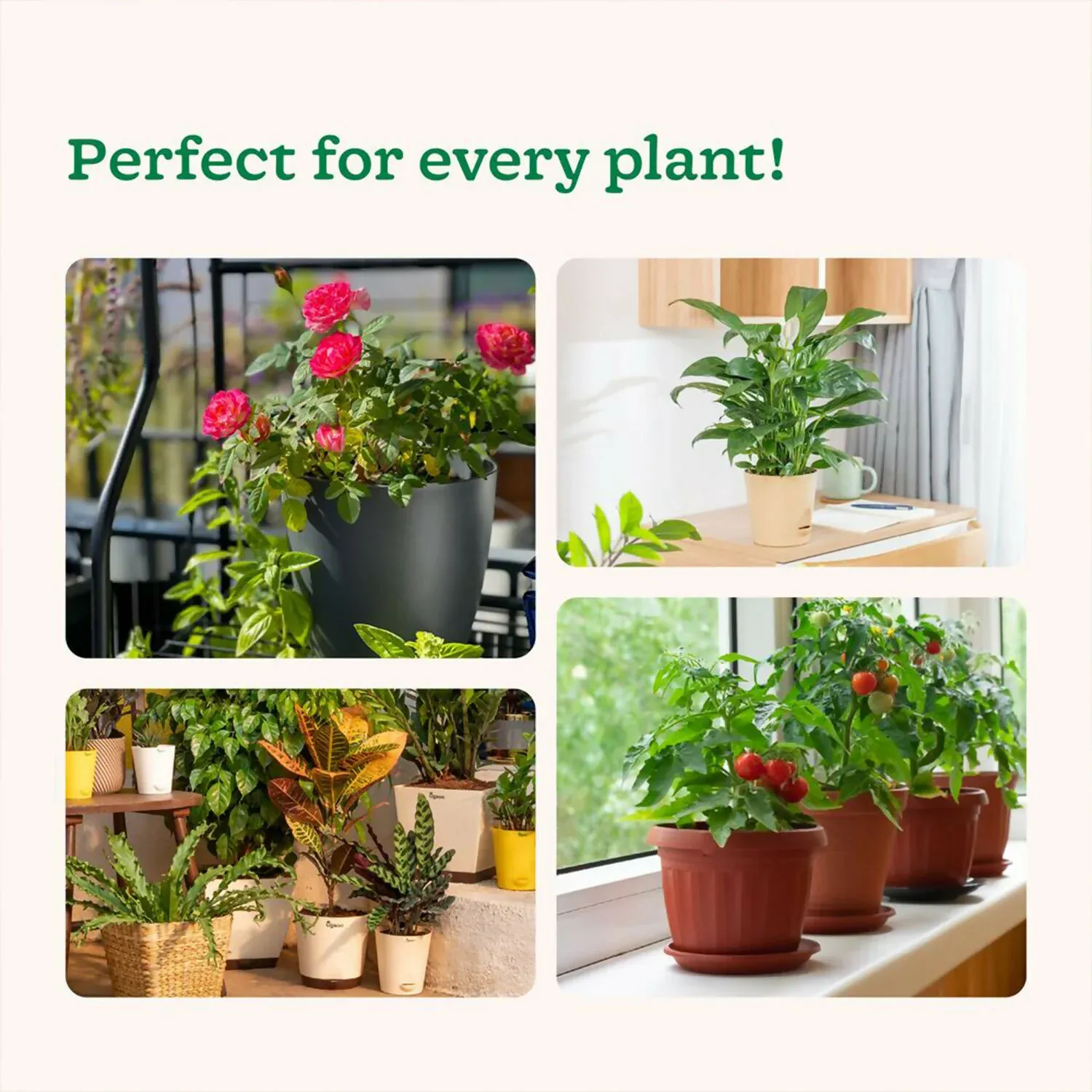Kitchen Garden Growth Booster For Healthy & Vibrant Kitchen Garden (7g/10 Sachets) (70 g) - Detailed Feature View 1