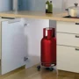 Premium Gas Cylinder Trolley – Stainless Steel with Heavy-Duty Wheels | Indo Glow - Buy Online at Alikart