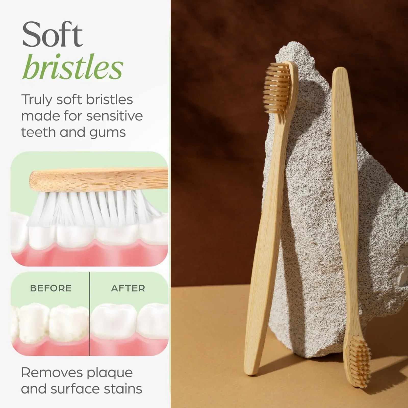 Bamboo Toothbrush Set – Eco-Friendly Medium Bristles (2 Pack) - Detailed Feature View 4