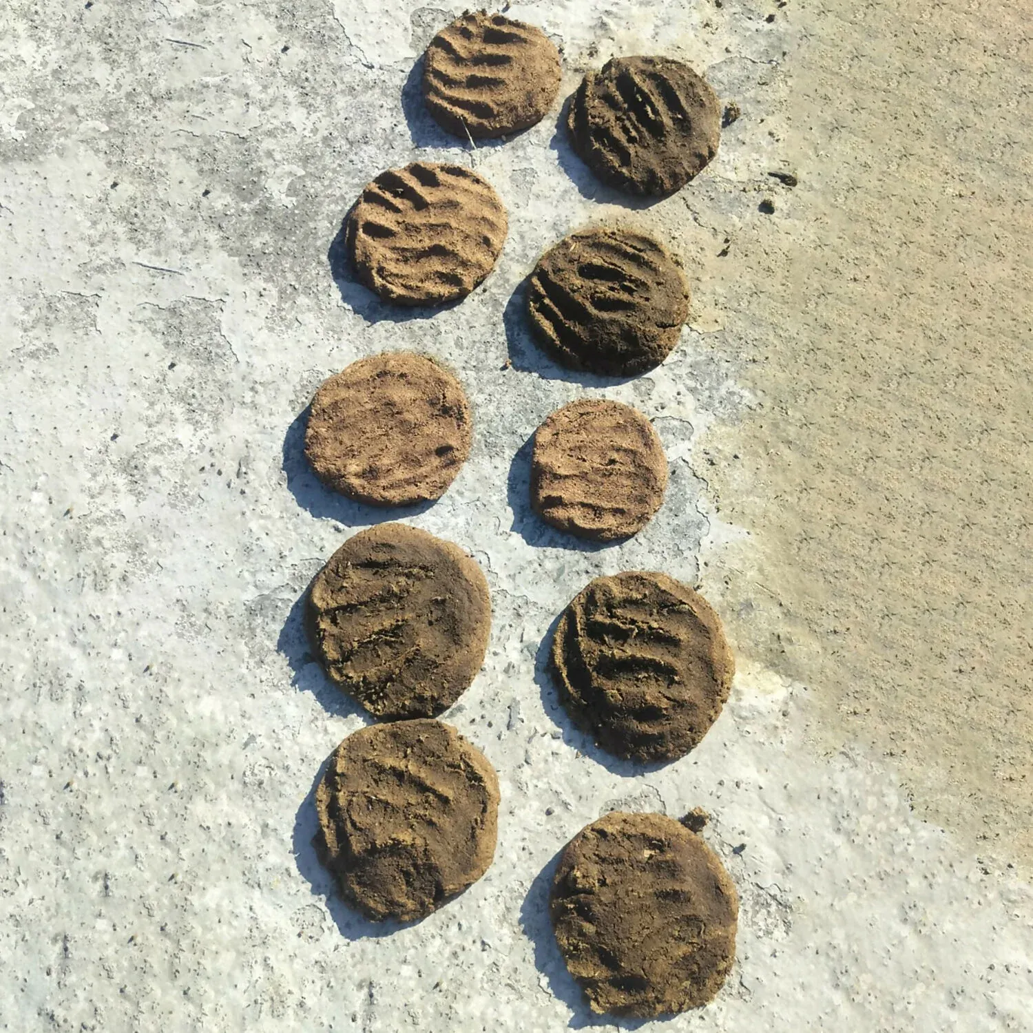 Cow Dung Cakes for Havan Puja Sambrani Dhoop Uple Ritual Use (1 kG) - Detailed Feature View 5