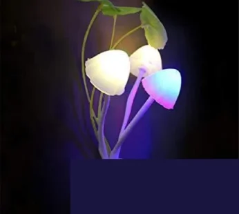 Night Light Mushroom Lamp (Colorful)