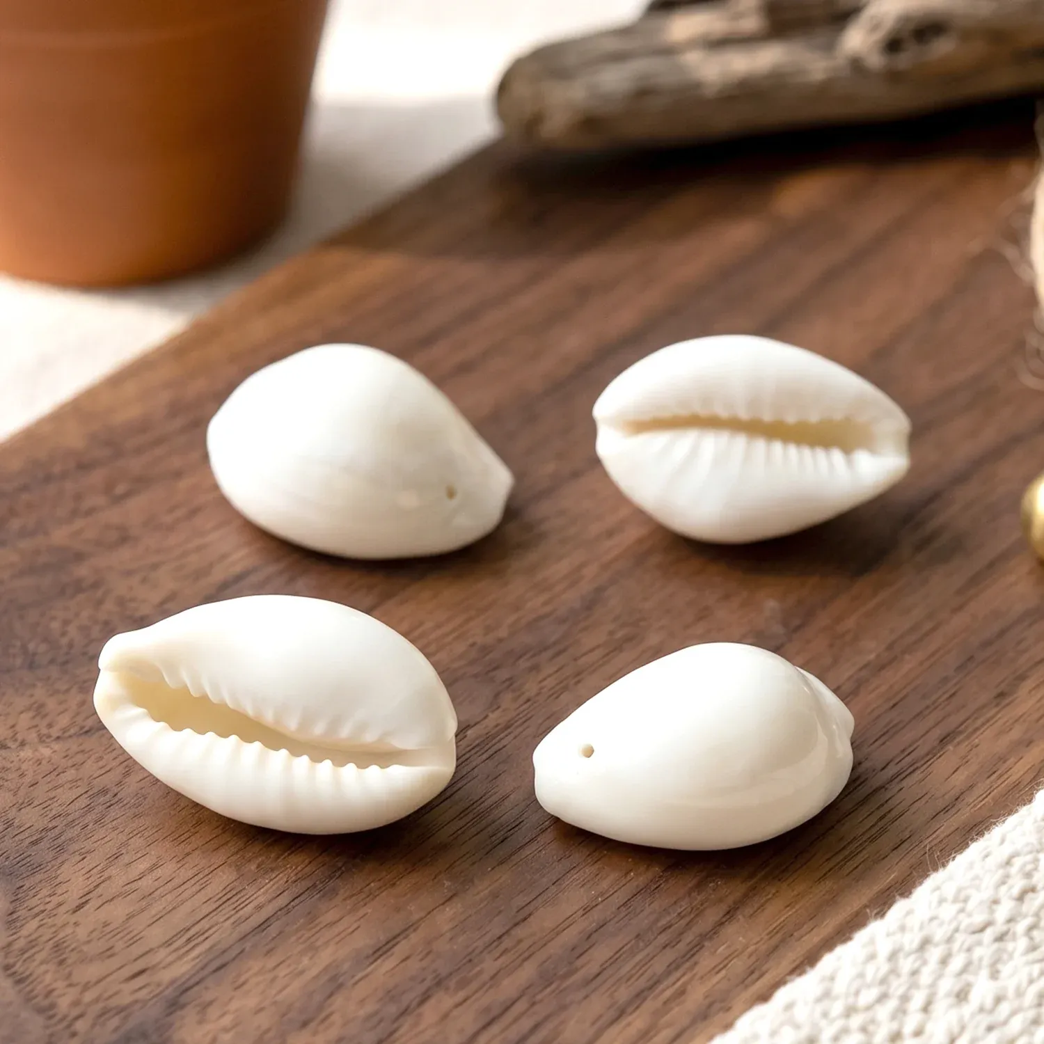 Natural Kaudi Cowrie Shells (4 Pc, Mix Size) - Detailed Feature View 7