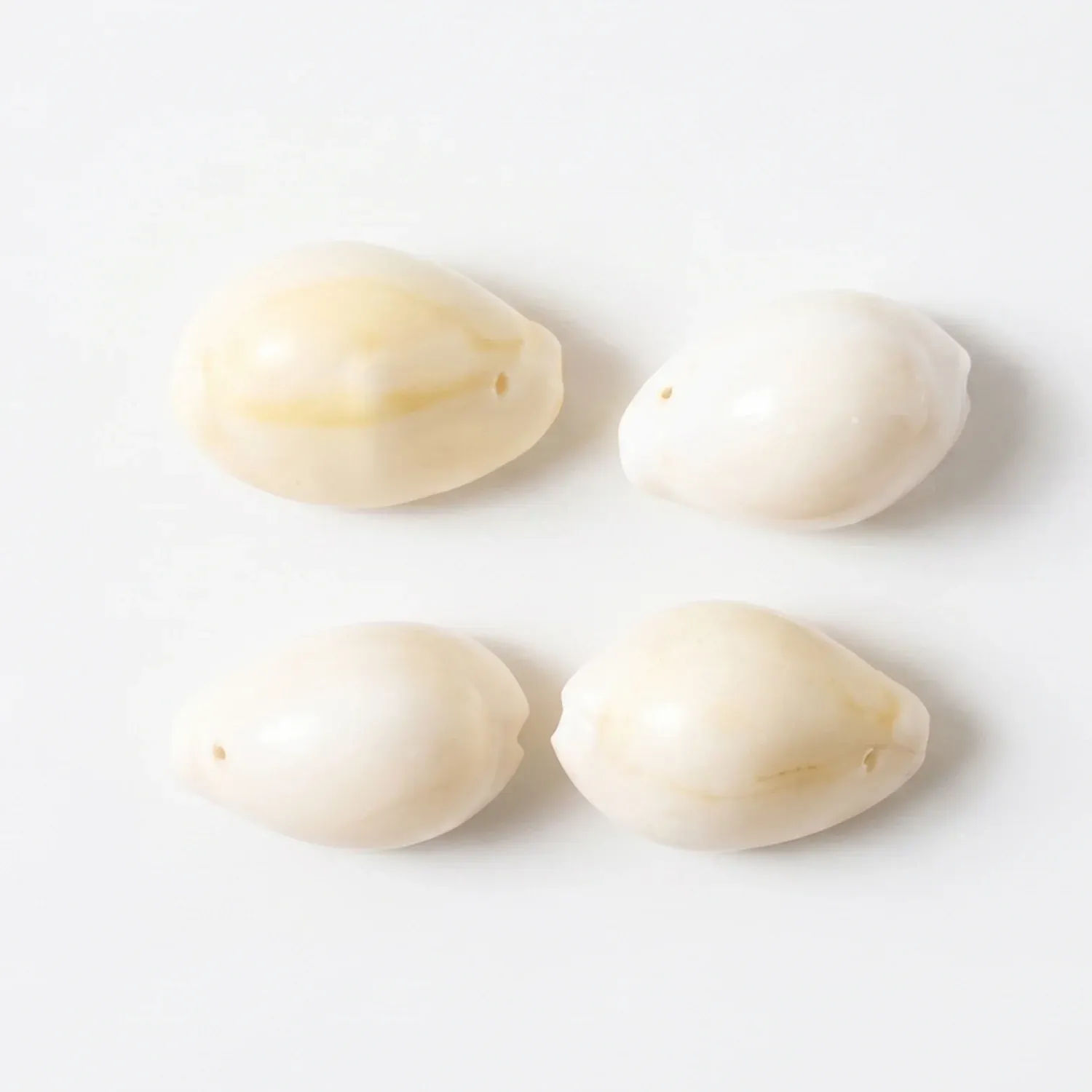 Natural Kaudi Cowrie Shells (4 Pc, Mix Size) - Detailed Feature View 3