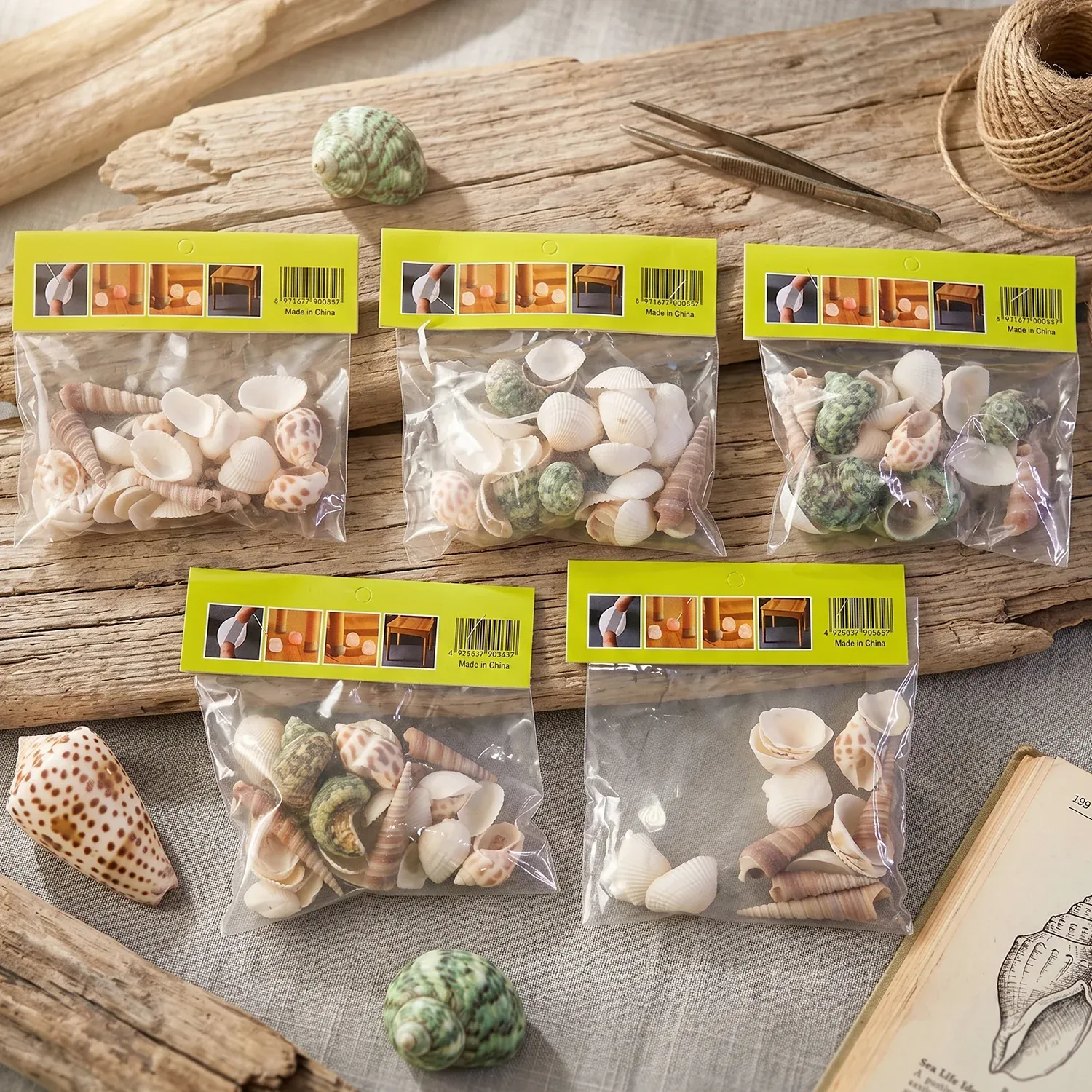 Natural Decorative Sea Shells Set (1 Set) - Detailed Feature View 7