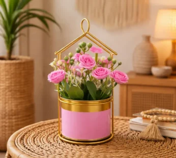 Gold House Frame Tabletop Planter with Decorative Pot(Color may vary)