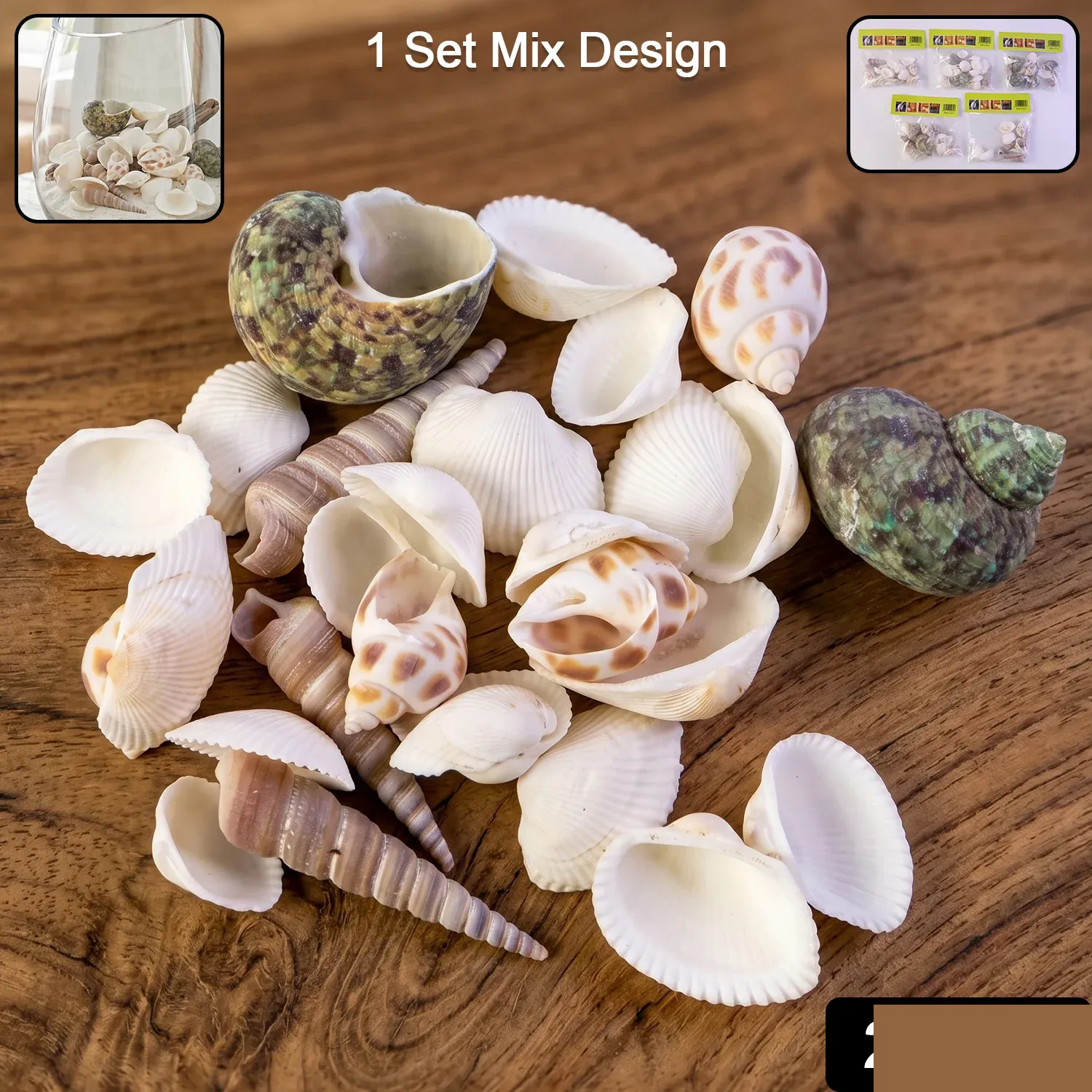 Natural Decorative Sea Shells Set (1 Set) - Detailed Feature View 1
