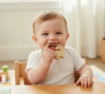 Ring Baby dinosaur shaped Baby teether