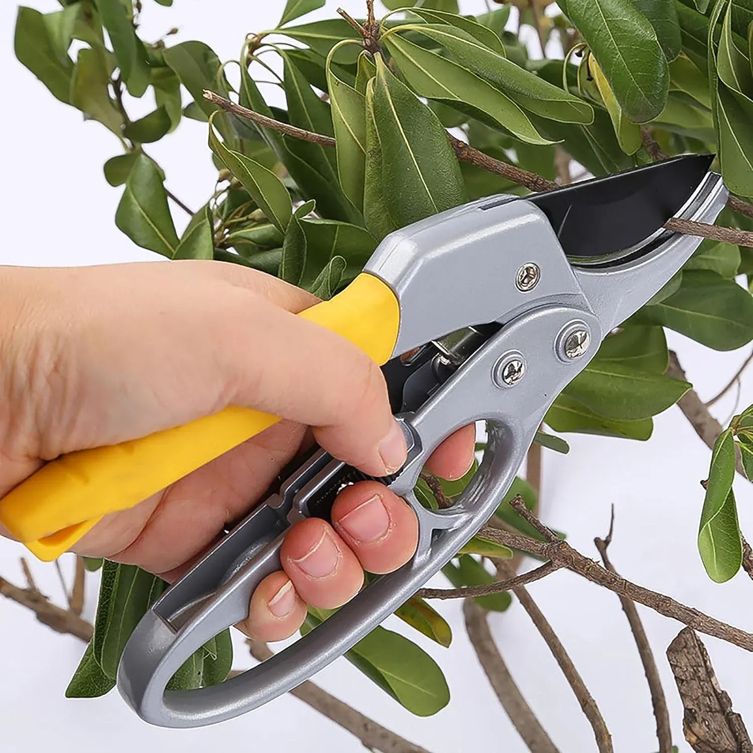 Premium Pruning Shears – Ergonomic Ratchet Gardening Tool for Precise Cuts - Buy Online at Alikart