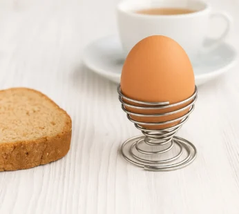 Stainless Steel Egg Cup Holder – Durable Spiral Spring Design