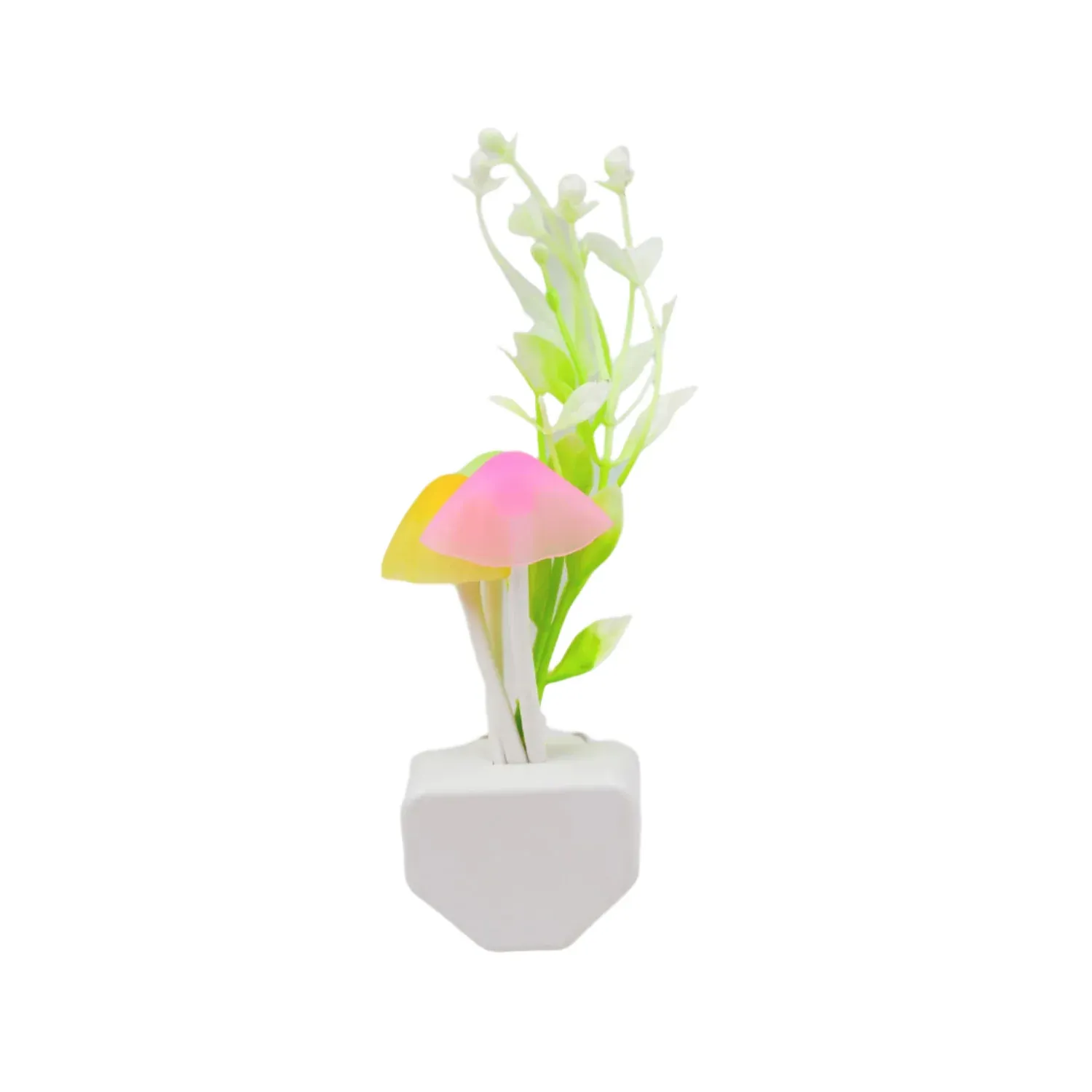 Premium Mushroom Night Light – Color Changing LED with Auto Sensor - Buy Online at Alikart