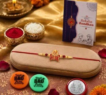 Rakhi Set for Brother (Set of 1) – Trishul with Damru Rakhi Combo with Roli Chawal, Silver Color Coin, Multicolour Magnets and Greeting Card – Traditional Raksha Bandhan Gift Hamper for Bhai