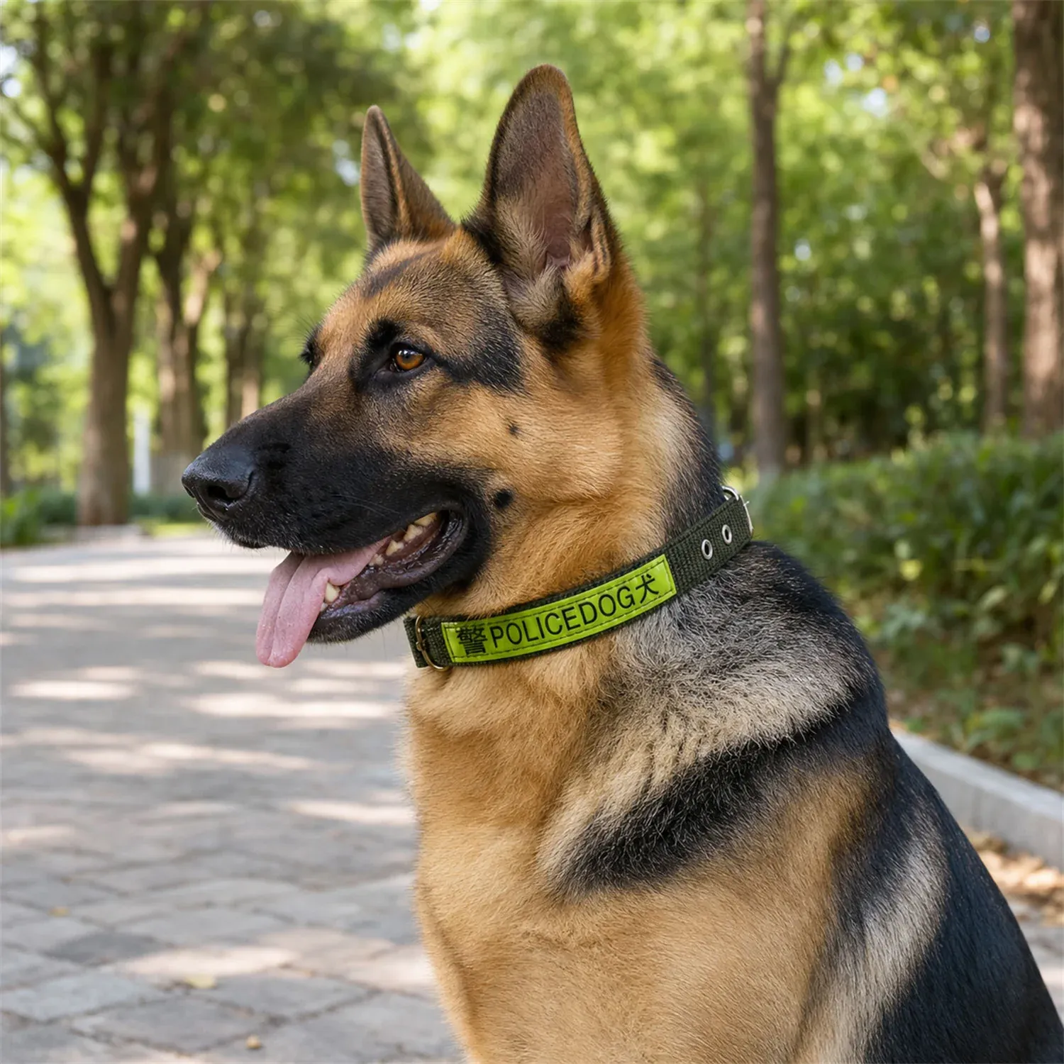 Heavy Duty Nylon Dog Collar – Reflective & Adjustable for Active Dogs - Detailed Feature View 5