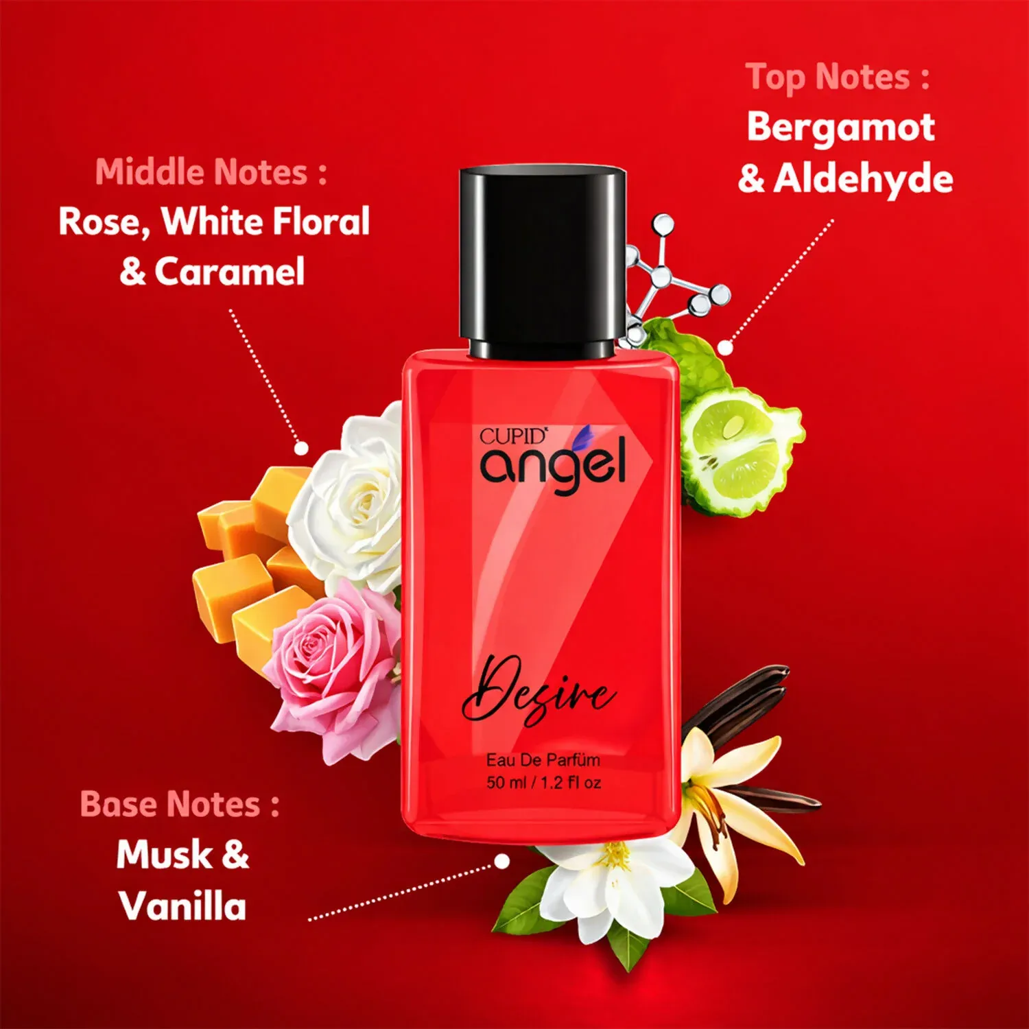 Perfume – Long-lasting fresh fragrance with woody notes - Detailed Feature View 2