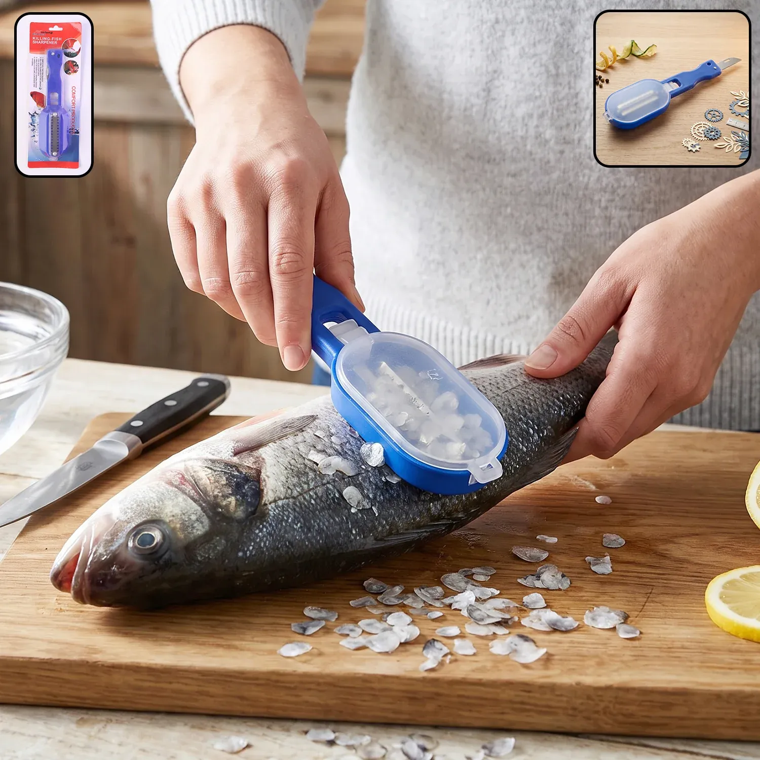 Premium Fish Scaler Scraper with Lid Scale Remover Skin Cleaner for Kitchen (1 Pc) - Buy Online at Alikart