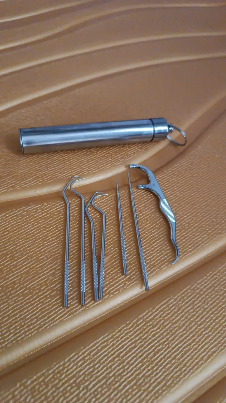 Stainless Steel Toothpick Set – 7-in-1 Portable Dental Kit | AuriGlam - Detailed Feature View 10