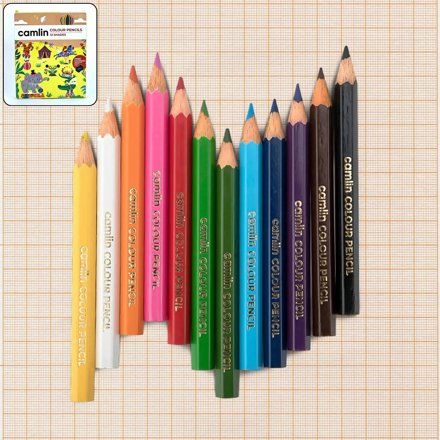 Camlin Colour Pencils – 12 Bright Shades with Smooth Blending & Free Sharpener