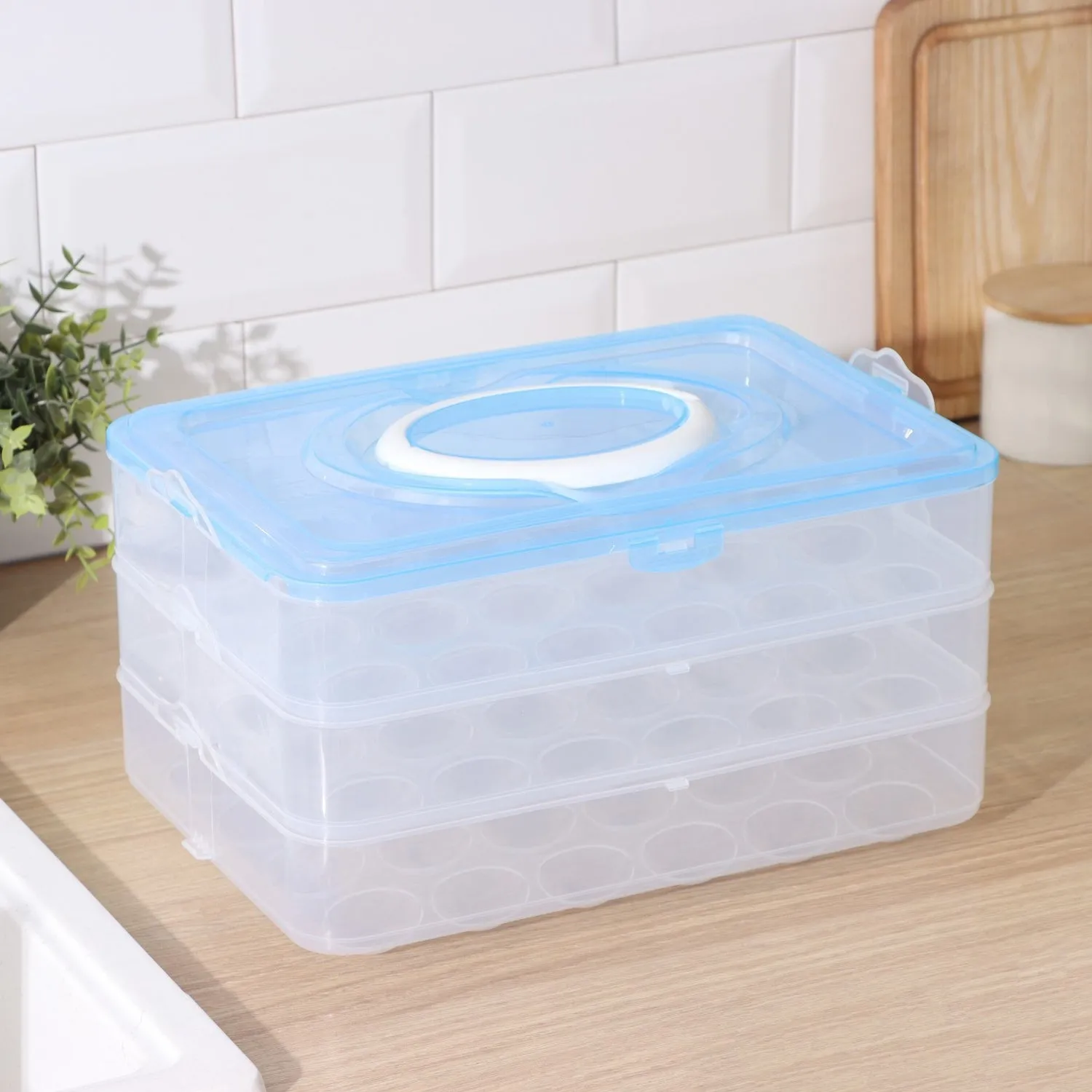 Refrigerator Egg Storage Box – 36-Grid, 3-Layer | Organivo - Detailed Feature View 7