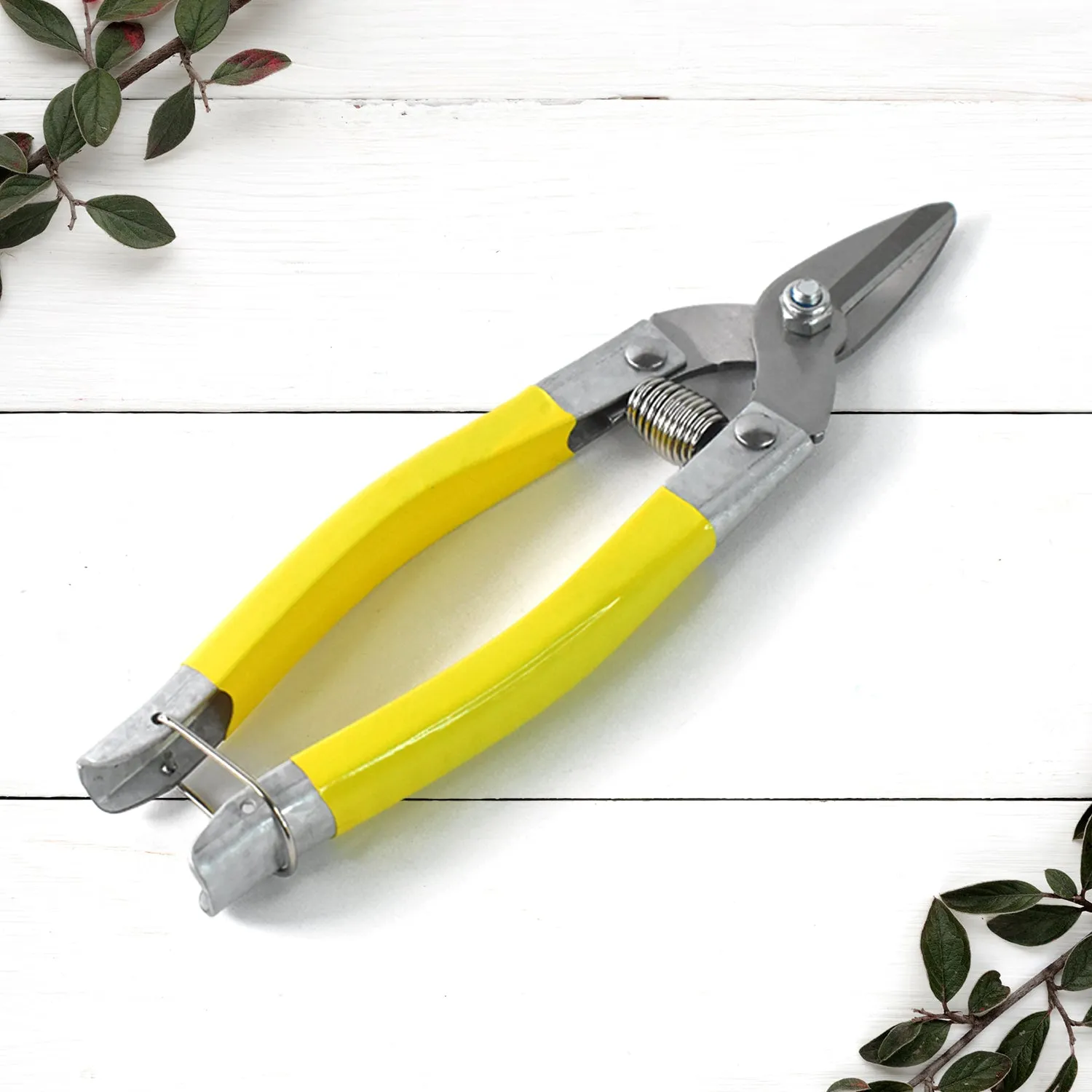 Premium Precision Micro Garden Snip – Sharp Small Pruning Scissor - Buy Online at Alikart