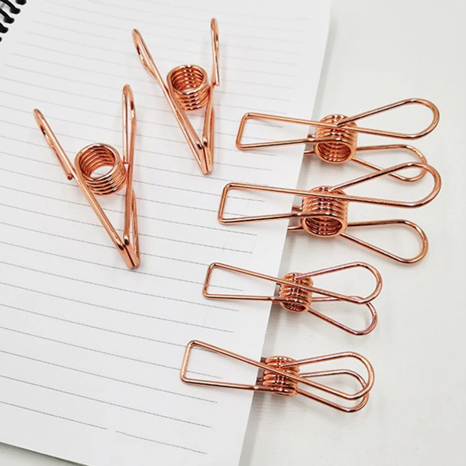 Premium Stainless Steel Clothes Clips – Multipurpose & Sturdy | BathNova - Buy Online at Alikart