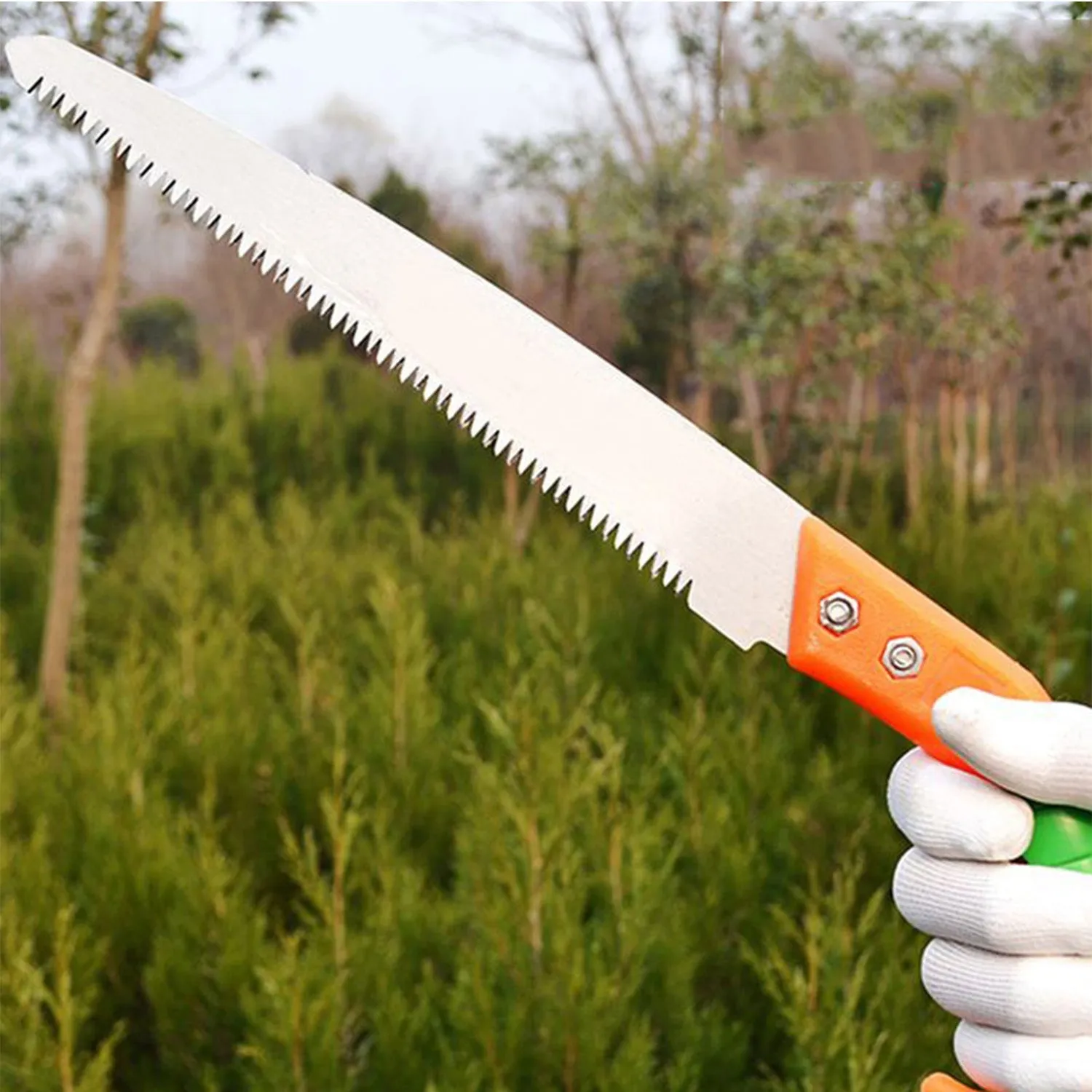 Premium Tree Pruning Saw – 270mm High Carbon Steel | Tidy Roots - Buy Online at Alikart