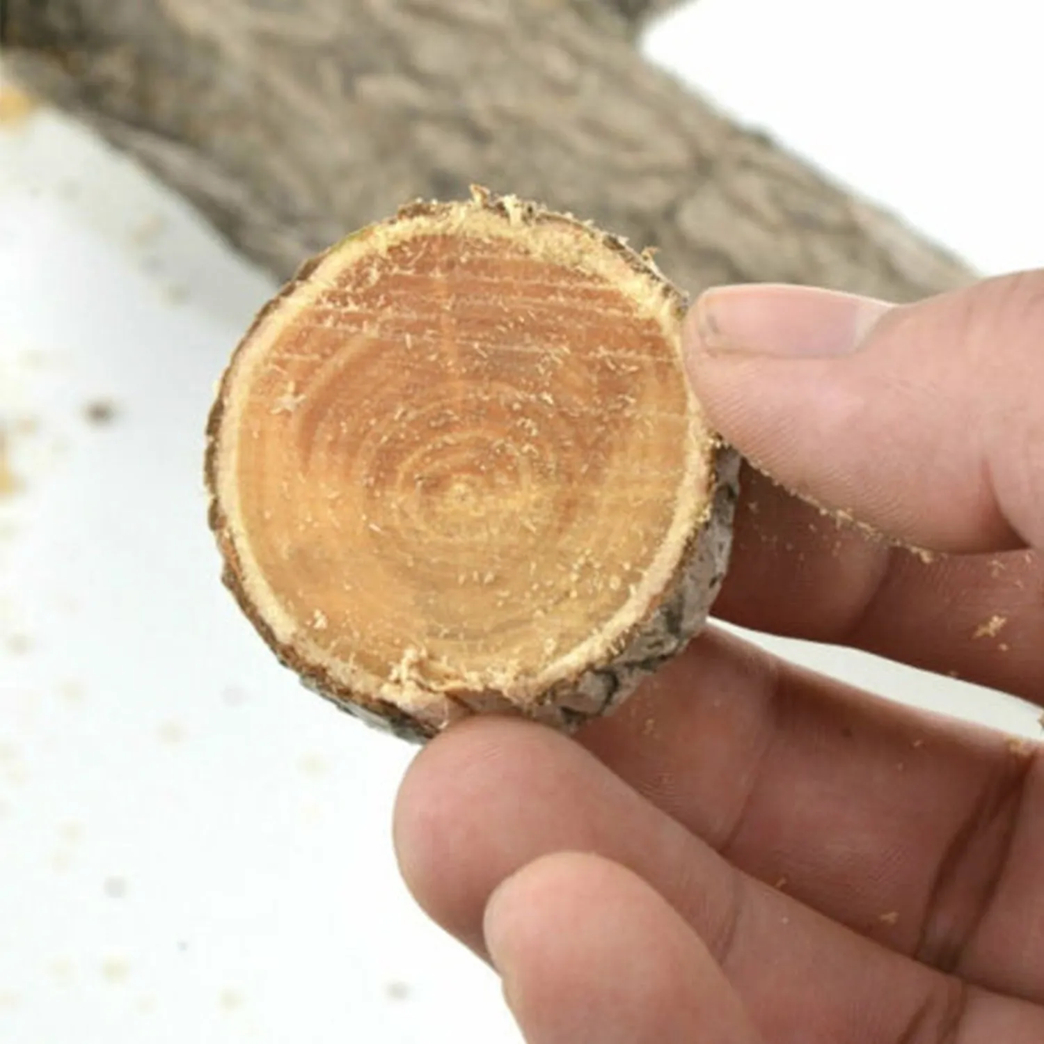 Tree Pruning Saw – 270mm High Carbon Steel | Tidy Roots - Detailed Feature View 5