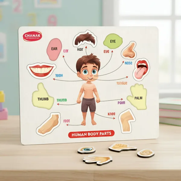 Wooden Human Body Parts Puzzle – Engaging Early Learning Toy for Kids