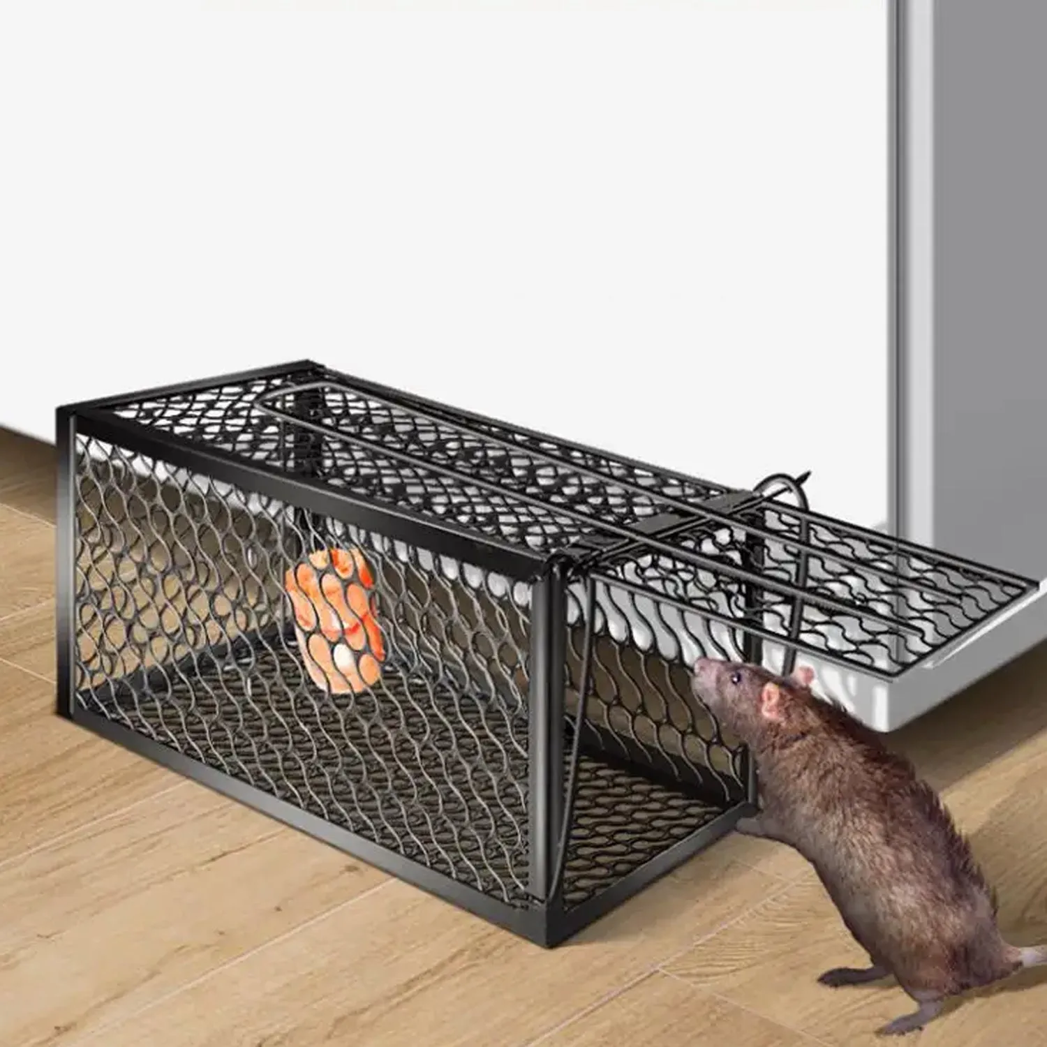 Premium Humane Mouse Trap – Foldable Live Catch Cage for Rodents - Buy Online at Alikart
