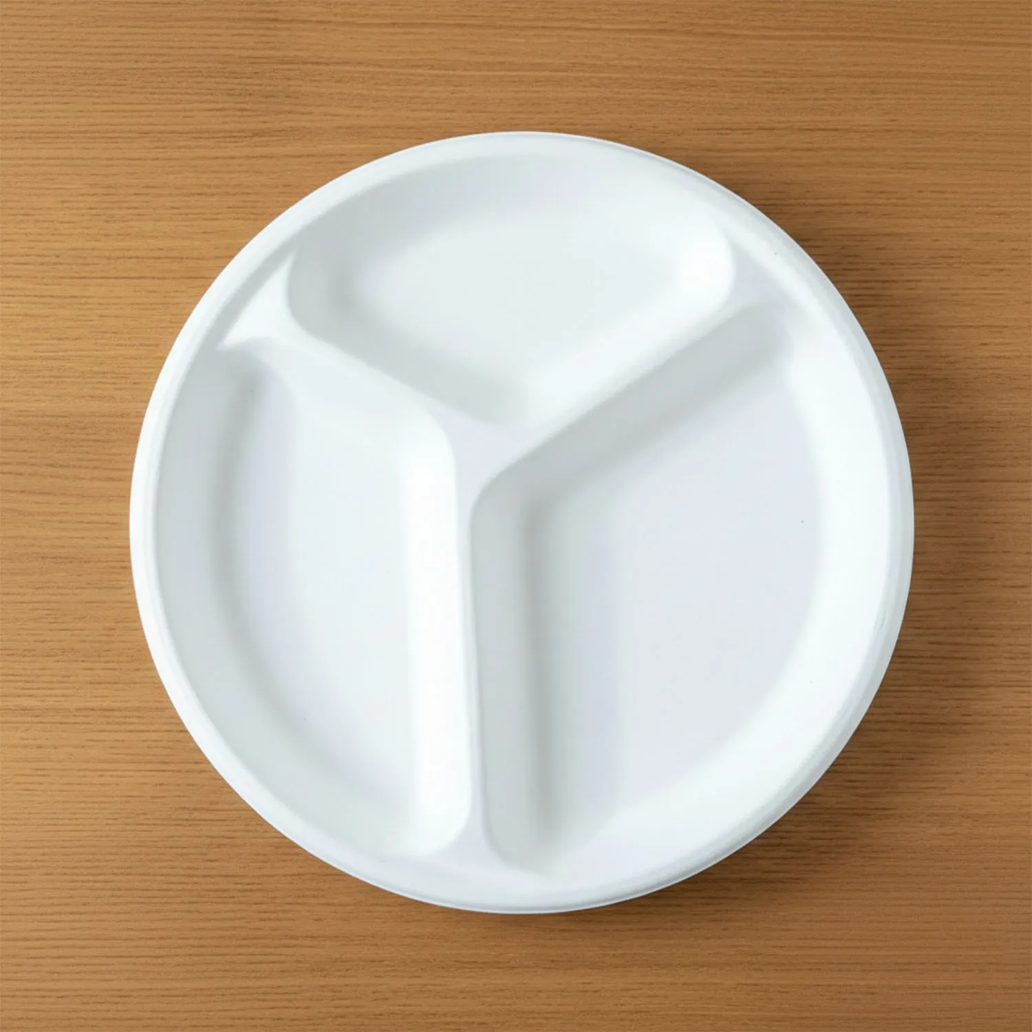 Compostable 10 Inch 3-Compartment Bagasse Plate – Leak-Resistant & Eco-Friendly - Detailed Feature View 6