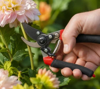 Flower Cutter Stainless Steel 21 Cm Sharp Shear for Flowers Plants (1 Pc)