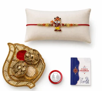 Cartoon Rakhi for Brother with Pooja Thali, Roli Tikka & Greeting Card, Pack of 5