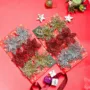 Premium Christmas Decoration Star Set Of 2 (12 Pcs) - Golden & Silver, X-Mas Hanging - Buy Online at Alikart