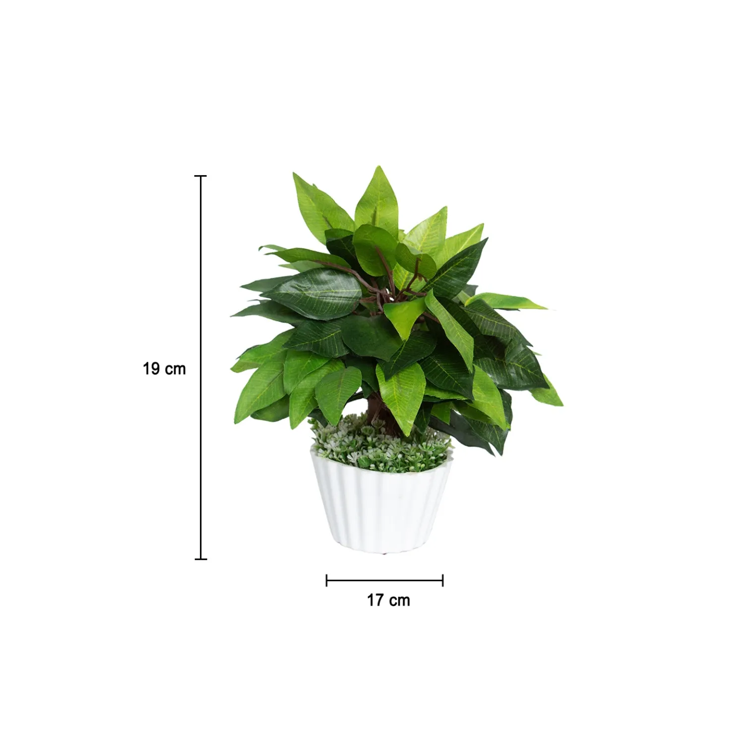 Ciliated Leaves Artificial Flower Vase For Home Décor - Detailed Feature View 5