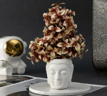 Home Décor for Living Room, Bedroom, Balcony, Ideal Housewarming & Wedding Gift