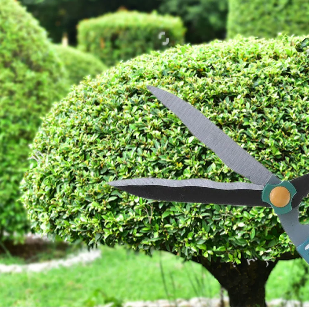 Premium Garden Scissor – Ergonomic Pruning & Trimming Tool | Indo Glow - Buy Online at Alikart