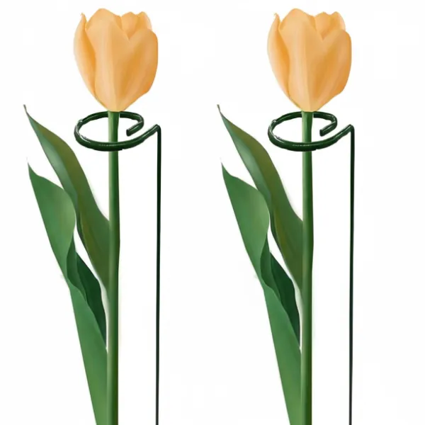 6Pcs Garden Plants Support Stakes- Sturdy Metal Construction for Strong and Healthy Garden Plants