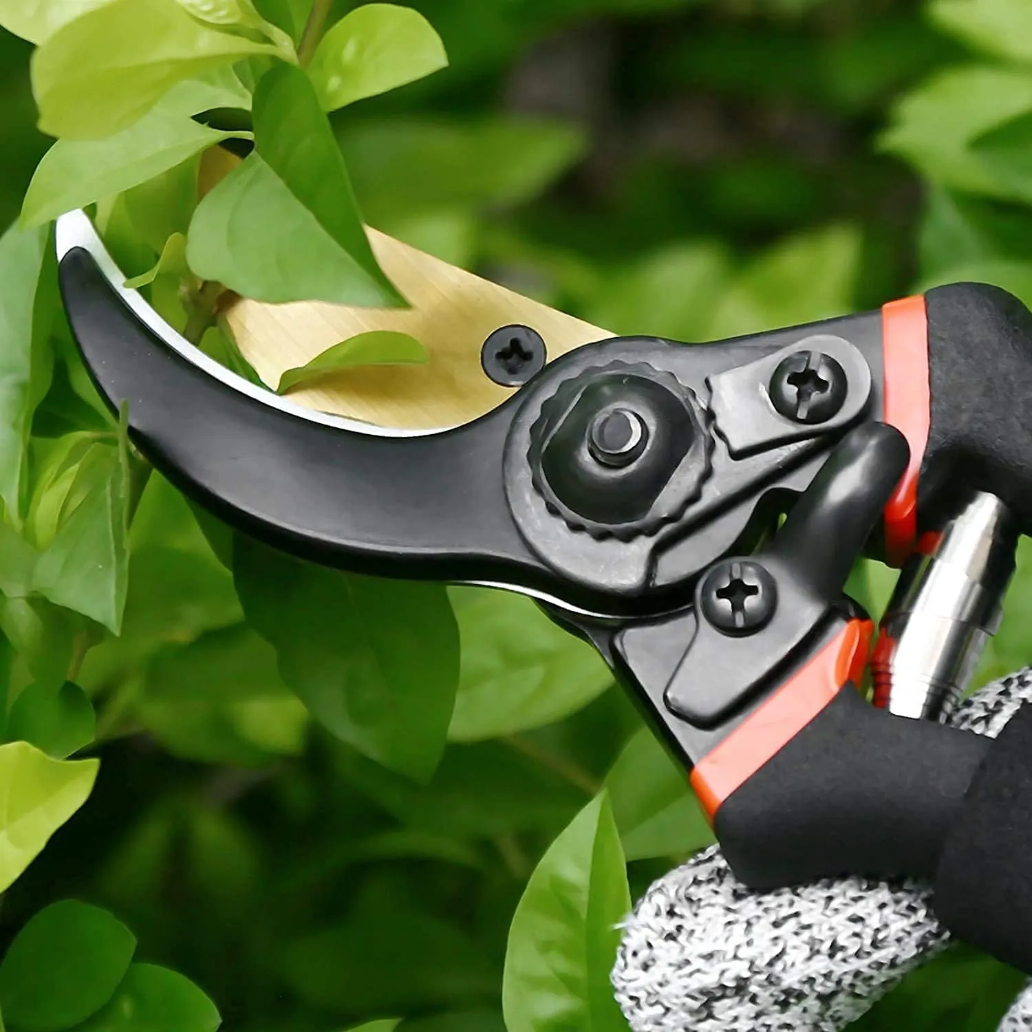 Flower Cutter Stainless Steel 21 Cm Sharp Shear for Flowers Plants (1 Pc) - Detailed Feature View 7